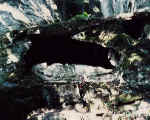Christ in the Tomb